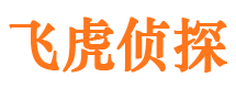 锦屏市侦探